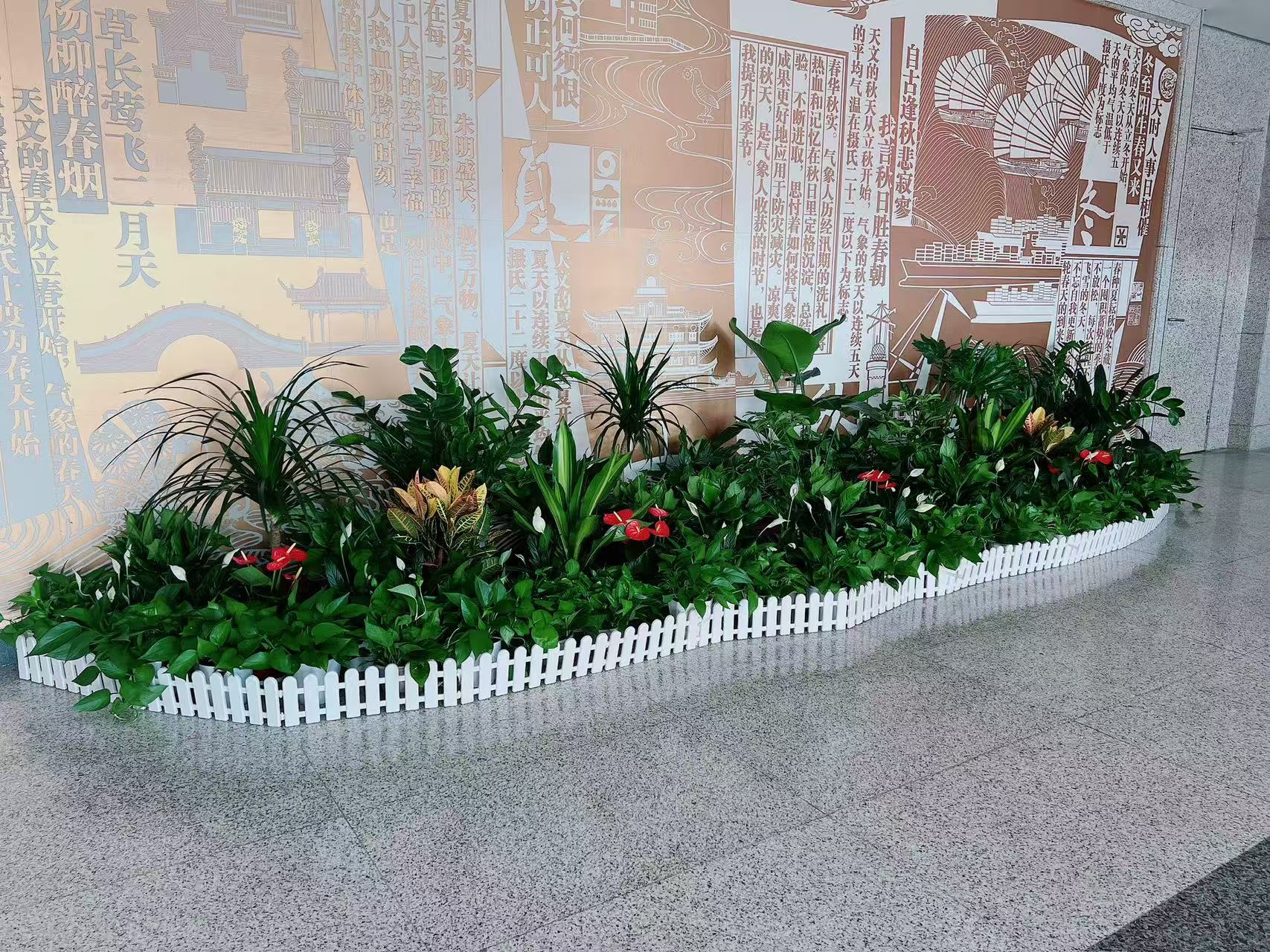 宁波鄞州花卉出租公司